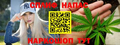 стаф Будённовск