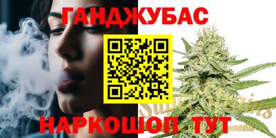стаф Будённовск