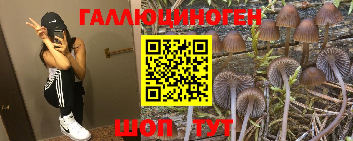 Галлюциногенные грибы мицелий Удомля
